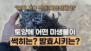 유박 사용 전 토양부터 확인하세요 | 유박비료 사용 시 주의사항 #토양미생물 #방선균 #황국균 #에너지농법 …
