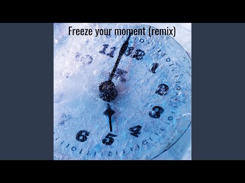 Freeze Your Moment (Remix)