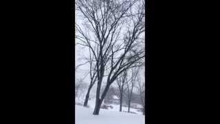 preview picture of video 'Juno llega a Boston y alrededores (Lexington) Blizzard'