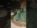 Malachite dreams