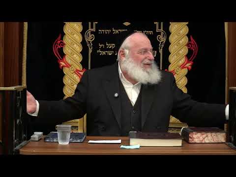 The Essence of Chanukah | By Rav Asher Weiss Shlit"a (5786)