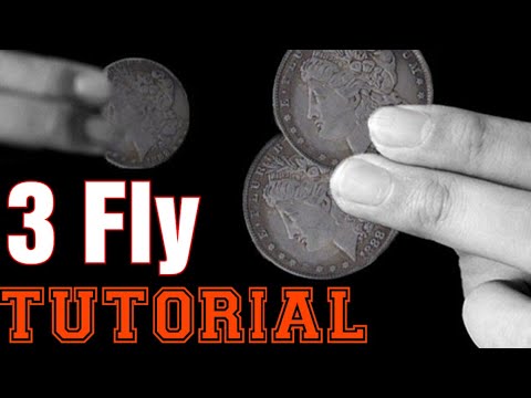 3 FLY TUTORIAL