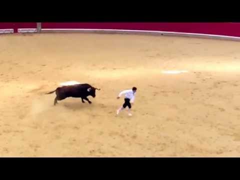 Resumen Final del Campeonato de España de Recortadores. Zaragoza 2015. Toropasión