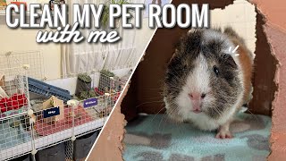 CLEAN MY PET ROOM WITH ME