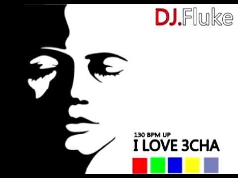 DJ.Fluke - We Run The Night