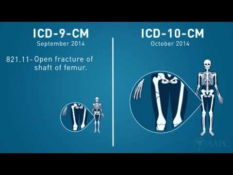 Prostate infection antibiotics not working