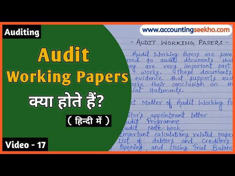 What Is Audit Working Papers In Auditing || Meaning Of Audit Working Papers || हिन्दी में ||