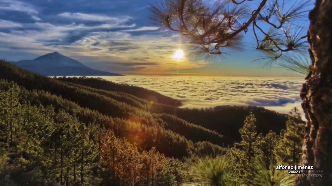 Mike Oldfield  "The Inner Child"