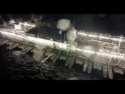 Death On The Wei Yu 18 | The Outlaw Ocean Project