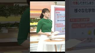森山みなみアナの緑ニット2
