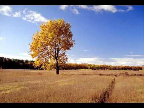 Steve Angello And Sebastian Ingrosso vs The Killers - Human 555 (Stereo Palma Mashup)