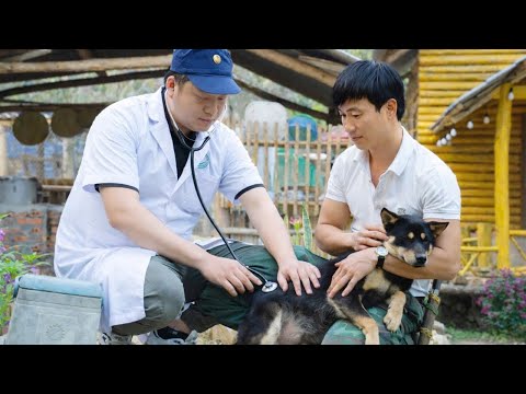 The CEO was extremely surprised by the veterinarian's announcement about Miky's health.