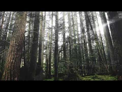 We Call the Shots – Handmade Palisades