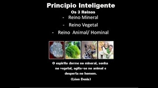 PRINCIPIO INTELIGENTE ( Os 3 Reinos)