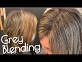 Grey Blending | Partial Foil of BABYLIGHTS |  TRANSITIONING To Grey