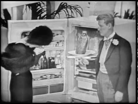 G  E  Refrigerators Commercial with Mike Nichols & Elaine May