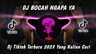 Download lagu DJ BOCAH NGAPA YA VIRAL TIKTOK TERBARU 2023 YANG KALIAN CARI mp3