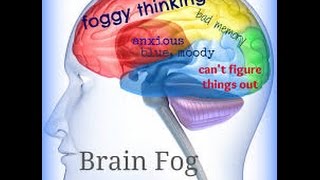 Brain Fog and Inflammation