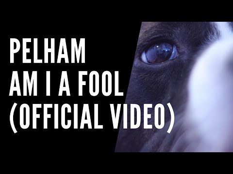 download lagu mp3 mp4 Pelham, download lagu Pelham gratis, unduh video klip Pelham