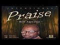 INTENTIONAL PRAISE  - Wale Adebanjo - BRAND NEW - 2020