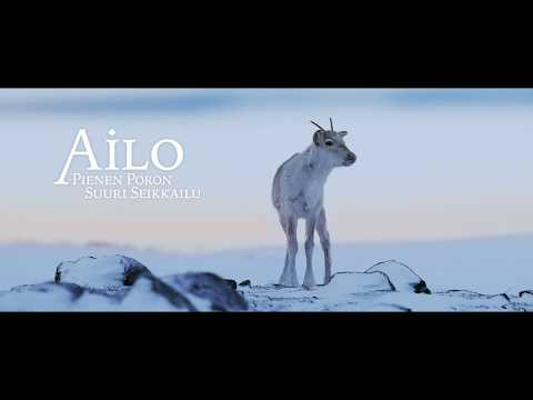 Ailo Teaser Trailer 42s