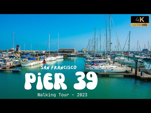 [4K] Pier 39, Fisherman's Wharf , San Francisco, California USA Walking Tour 🦀