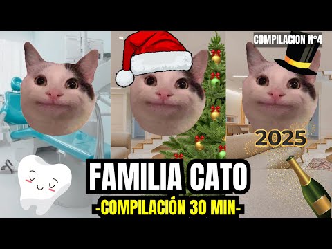 FAMILIA CATO, compilación n°4 de 30 minutos (meme de gatos)