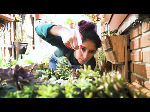 Grow Your Own With Linda McCartney Foods - Sustainable Food feat. Mary McCartney