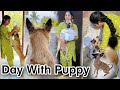 Day With Puppy Puppy S Bathing Vlog At Native Puppylife Doglife Doglover Dogbathing