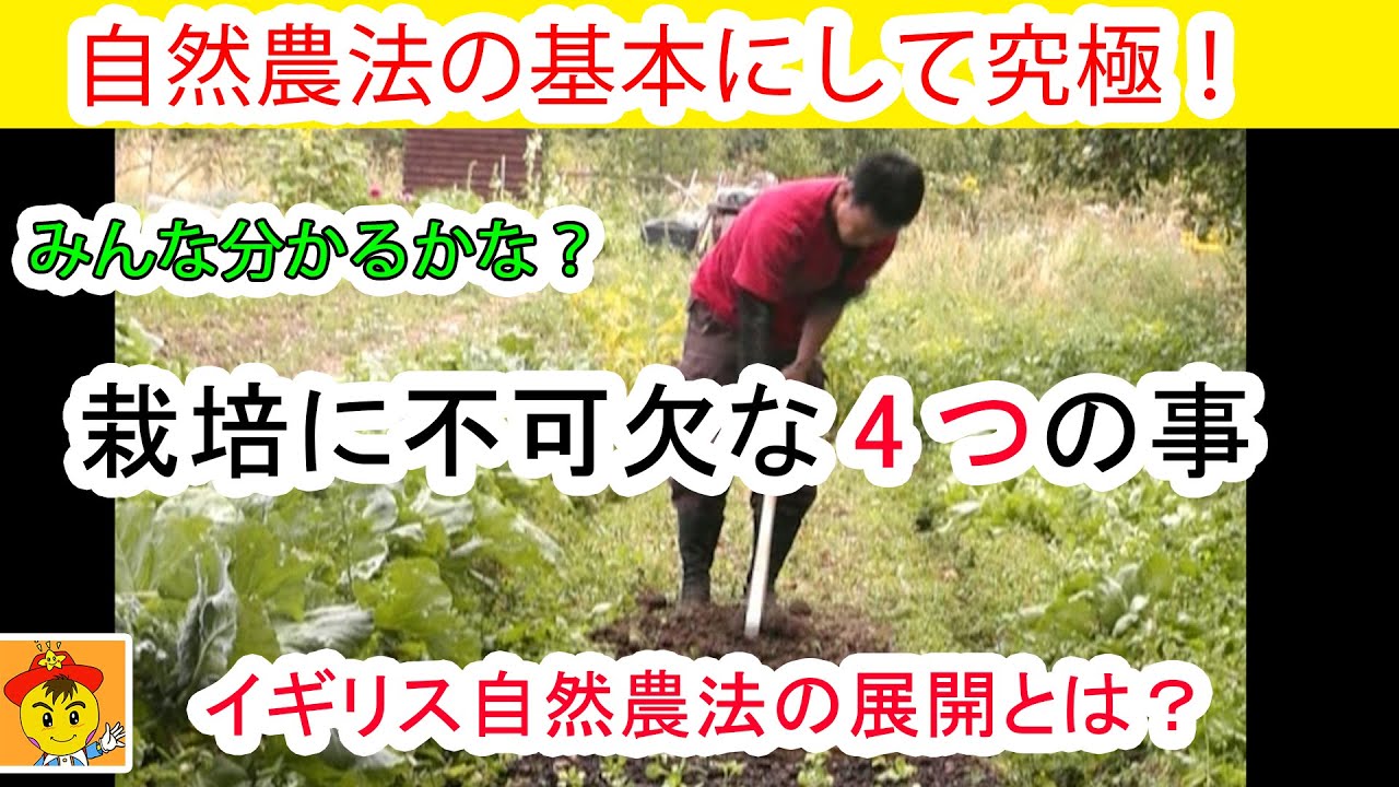 自然栽培20年で学んだ野菜作りの本質