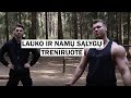 Lauko ir namų sąlygų treniruotė | Kaip neprarasti formos karantino metu