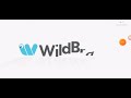 Wildbrain Logo 2023