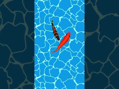 Fish for Cats | Peces para Gatos