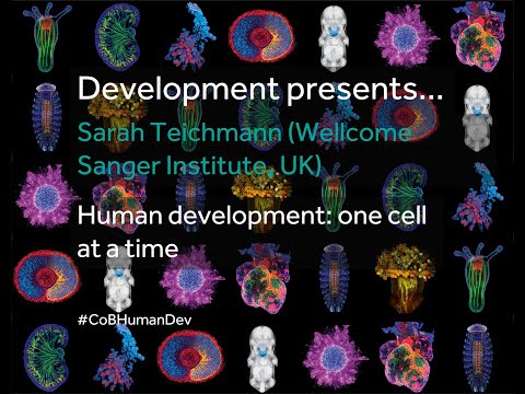 Development presents... Sarah Teichmann