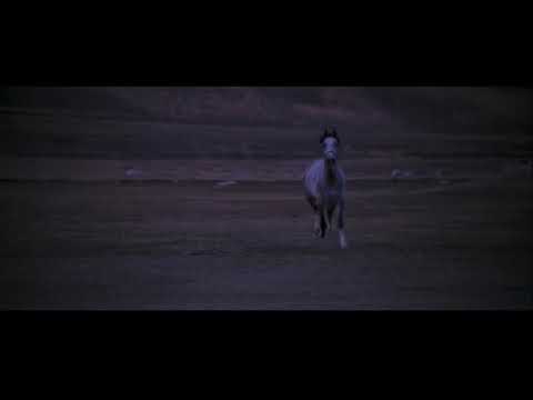 ismet özel - yaşamak umrumdadır