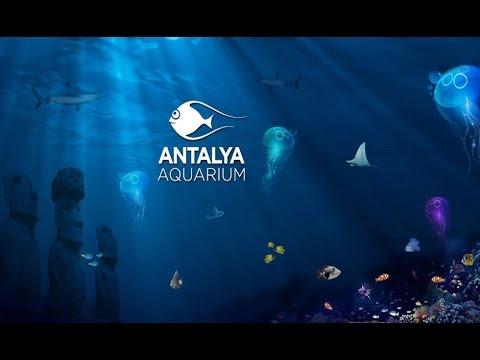 Аудиогид по Анталийскому аквариуму - Затонувшие города - Sunken citys