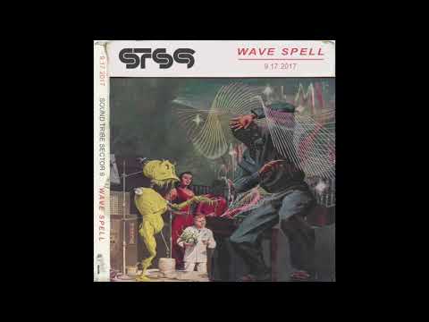 STS9 - Wave Spell (Official Audio)