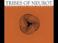 Tribes of Neurot "Durability" 03