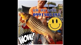 preview picture of video 'ตกปลา แพสนามชัย บางไทร อยุธยา ที่พัก ริมน้ำ Fishing Thailand'