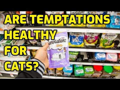 What Is In Temptations That Cats Love?