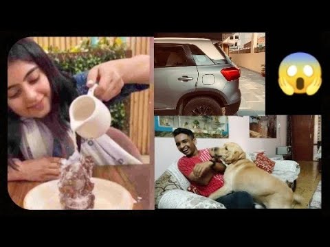 Untitled ll My dog attacked ll Food Blogger Controversy ll Ojasvi Sharma #labrador #dogattack