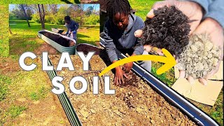 🛠Clay Soil Makeover: Creating Healthy Soil🪴