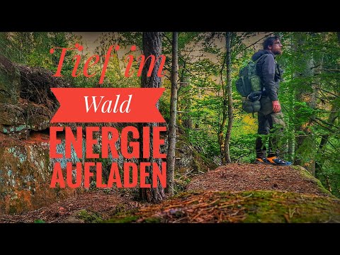 Tief im Wald - Energie aufladen
