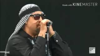 How I Could Just Kill A Man - Prophets Of Rage Live Rock Am Ring 2017