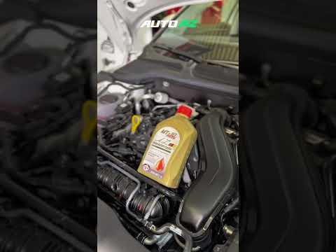 Der richtige Ölstand