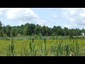ON 1809 At Siding Lake 3 5 16JUL2010