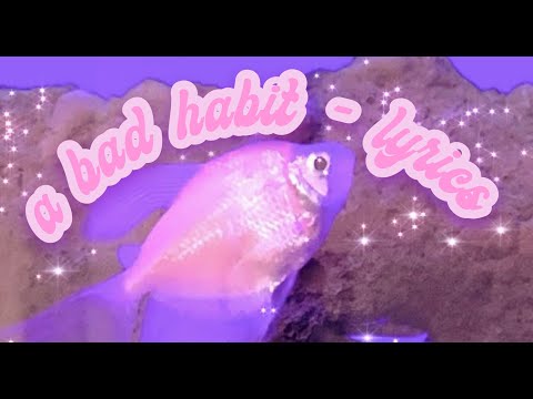 A Bad Habit - Mia Marin