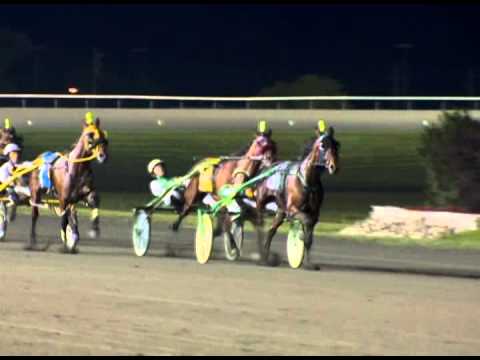 2012 O'Brien Award Nominees - Three-Year-Old Pacing Fillies