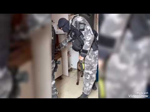 Polícia cumpre mandado contra o tráfico em Água Branca Piauí 