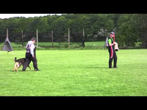 Nikon von Skandinavika IPO1 C